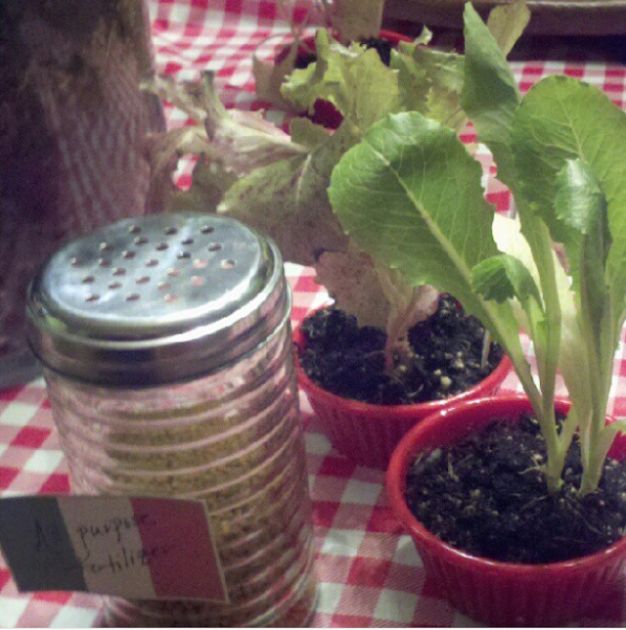 Cheese-Shaker Gardening 