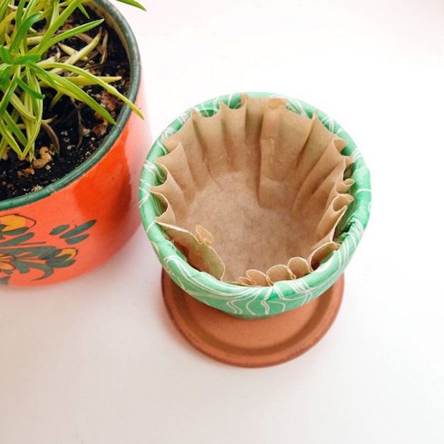 Coffee Filters in Flower Pots