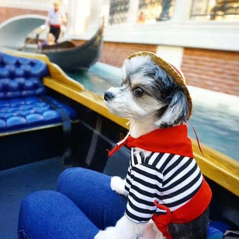 The Cutest Little Gondola Attendant