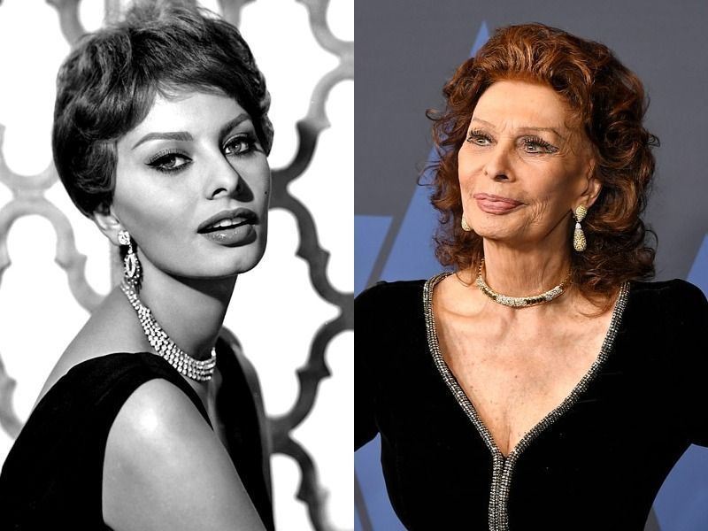 Sophia Loren, 86